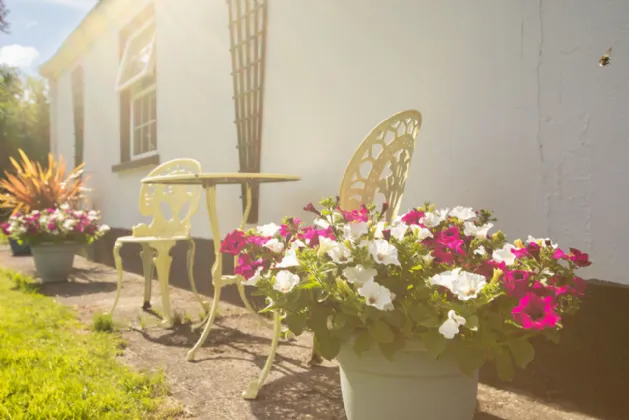 Photo of Birdhaven Cottage, Dublin Road, Milltownpass, Co. Westmeath., N91H7K8