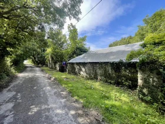 Photo of Site With Dwelling & Outbuildings, Ballyvooney, Stradbally, Co Waterford