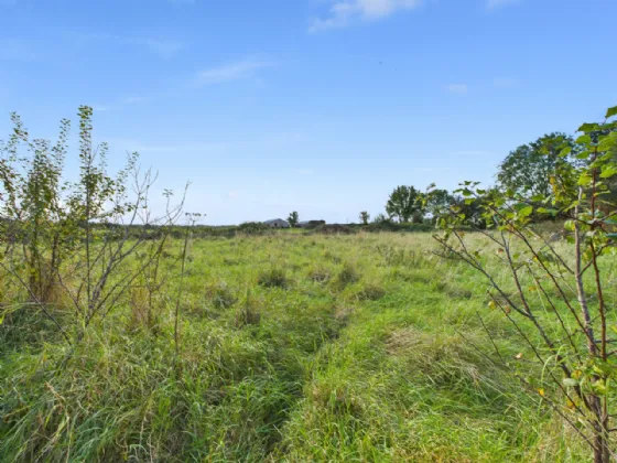 Photo of Sheeaun, Boula, Portumna, Co. Galway, H53 H2N1