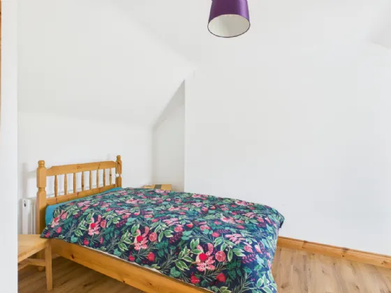 Photo of Sheeaun, Boula, Portumna, Co. Galway, H53 H2N1