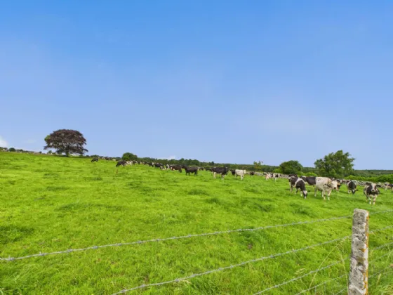 Photo of Carrownagower Lower, Carrabane, Athenry, Co. Galway, H65 Y592