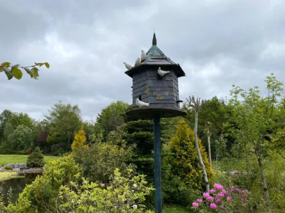 Photo of Coolnagarrahy, Lawlors Cross, Killarney, Co Kerry, V93 R5P2