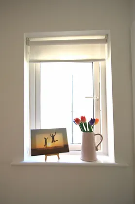 Photo of 72 Browneshill Wood, Browneshill Road, Carlow Town, Carlow, R93 R6C4