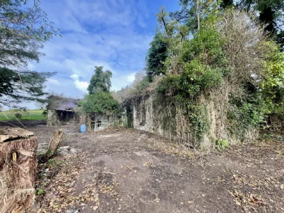 Photo of Site With Derelict Cottage, Knockroe, Colligan, Dungarvan, Co Waterford
