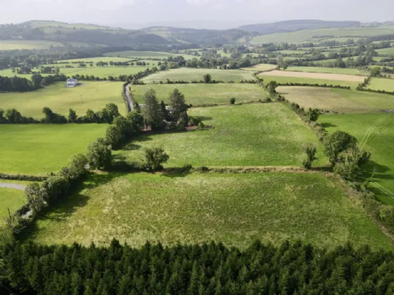 Photo of Land At Knockroe (11.8 Acres) Approx., Colligan, Dungarvan, Co Waterford