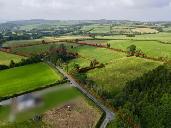 Photo of Land At Knockroe (11.8 Acres) Approx., Colligan, Dungarvan, Co Waterford
