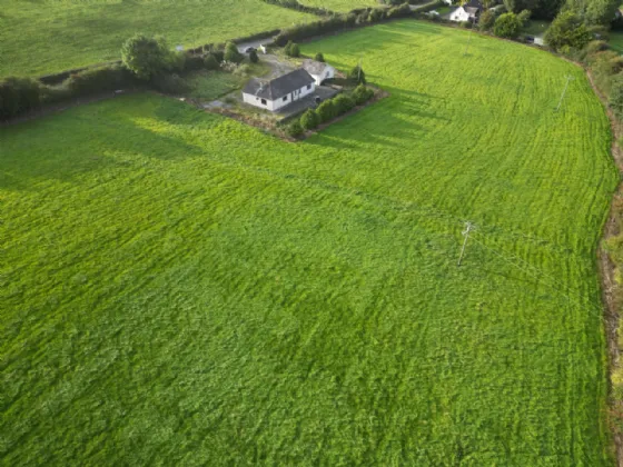 Photo of Garrane / Roan, Killenaule, Thurles, Co. Tipperary, E41 EK68