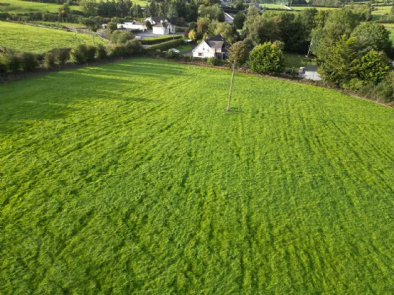 Photo of Garrane / Roan, Killenaule, Thurles, Co. Tipperary, E41 EK68