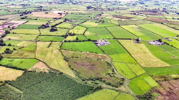 Photo of Trasnagh, Moylough, Co. Galway, H53 WF98