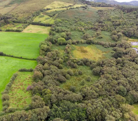 Photo of Glannagilliagh, Caragh Lake, Co.Kerry