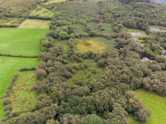 Photo of Glannagilliagh, Caragh Lake, Co.Kerry