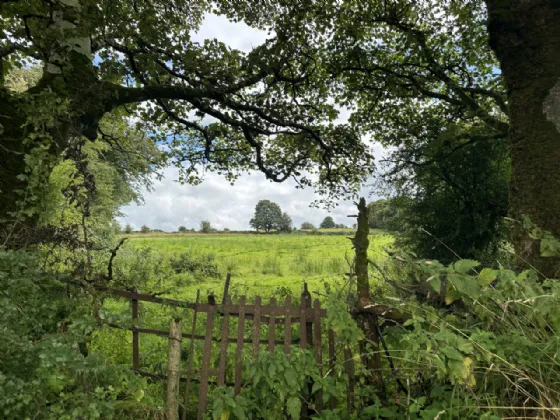 Photo of Attishane,, Cloonfad, Ballyhaunis, Co, Roscommon