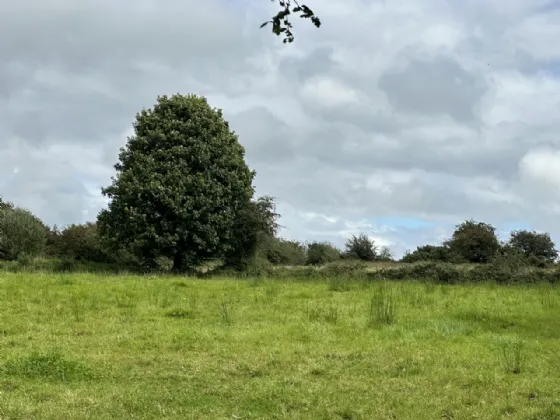Photo of Attishane,, Cloonfad, Ballyhaunis, Co, Roscommon