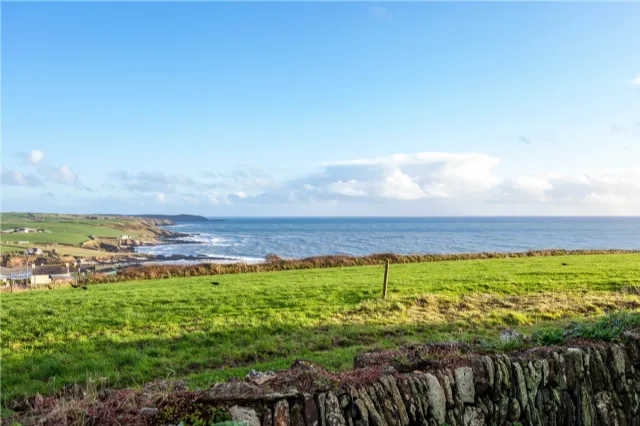 Photo of Lisnagree, Ballinglanna, Clonakilty, Co Cork, P85 XD30