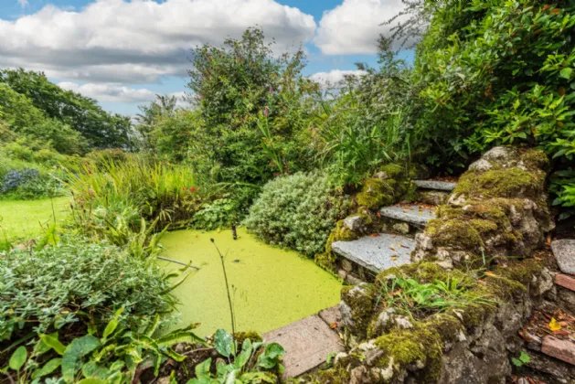 Photo of Rockwood, Lisheen Road, Blessington, Manor Kilbride, Co Wicklow, W91 P2D2