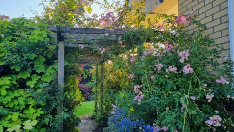 Photo of Rockwood, Lisheen Road, Blessington, Manor Kilbride, Co Wicklow, W91 P2D2