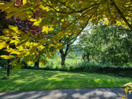 Photo of Rockwood, Lisheen Road, Blessington, Manor Kilbride, Co Wicklow, W91 P2D2