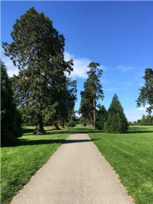 Photo of 26 The Alders, Carrington Park, Santry, Dublin 9, D09 E6X7