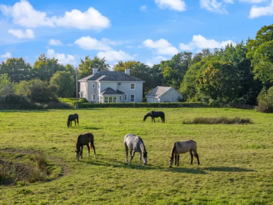 Photo of Leafy Lodge, Mayfield, Claremorris, Co Mayo, F12 D7W1