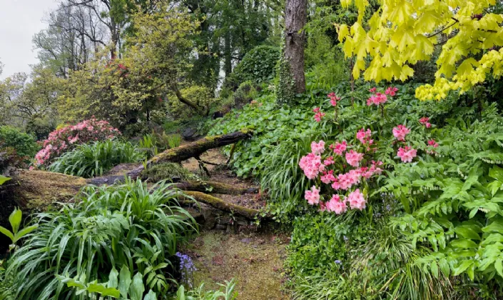 Photo of Flowerhill House, Ballyduff, Lismore, Co Waterford, P51E2Y9