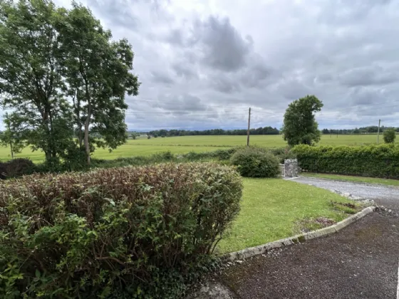 Photo of Hore Abbey, Cashel, Tipperary, E25 F403