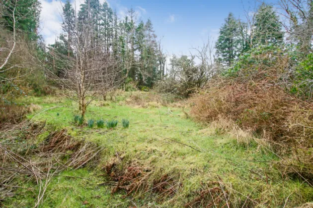 Photo of 'Moytura', Lecarrow, Ballinafad, Co. Sligo