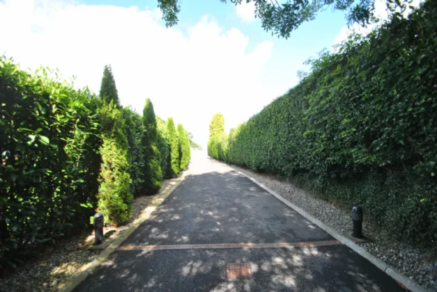 Photo of Ballygorteen, Roscrea/Templemore, Co. Tipperary, E53 KR12