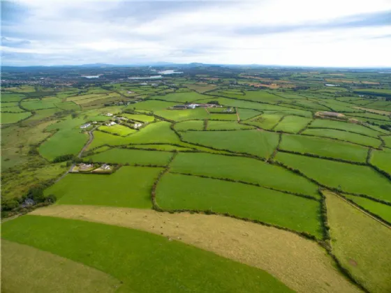 Photo of Circa 7 Hectare At Kilcaragh, Grantstown, Waterford