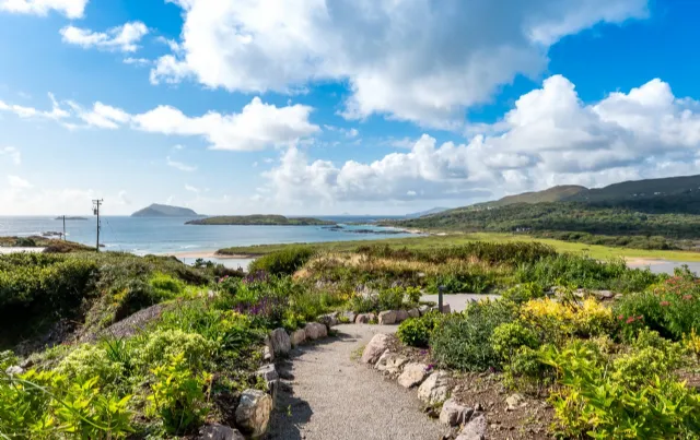 Photo of Lambs Head, Caherdaniel, Co. Kerry, V93 HP73
