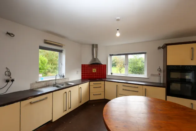 Photo of Ben, Fore, Co. Westmeath, N91 A582