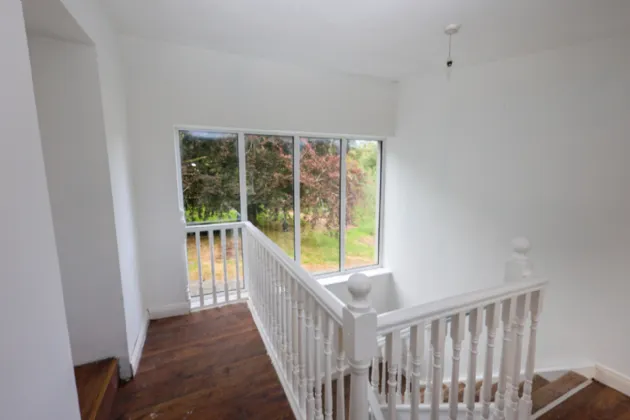 Photo of Ben, Fore, Co. Westmeath, N91 A582