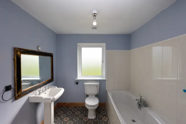 Photo of Ben, Fore, Co. Westmeath, N91 A582