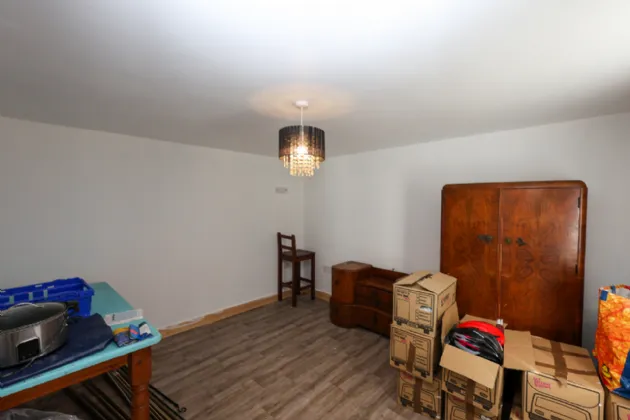 Photo of Ben, Fore, Co. Westmeath, N91 A582