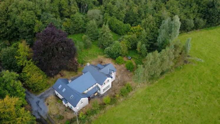 Photo of Ben, Fore, Co. Westmeath, N91 A582