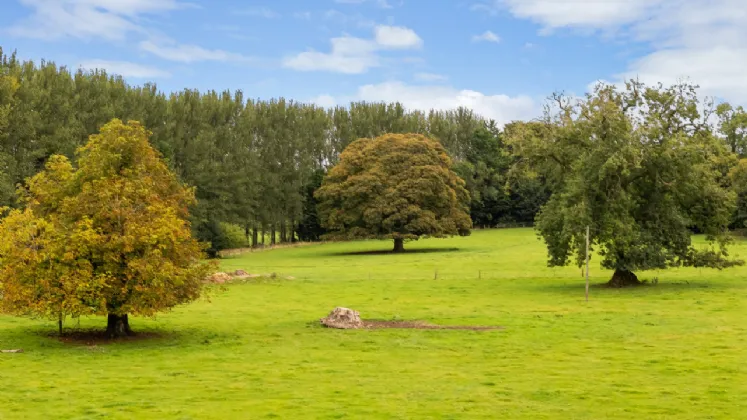 Photo of Griffinstown House, Griffinstown Upper, Dunlavin, Co. Wicklow, W91 T2Y2
