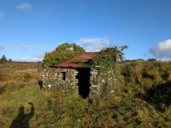 Photo of Glann East, Charlestown, Co Mayo, F12HD86