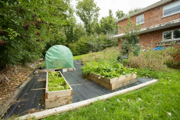 Photo of Rathconnell, Mullingar, Co. WH, N91N2N8