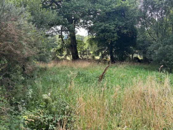 Photo of Land at Annagh Middle, Gorey, County Wexford