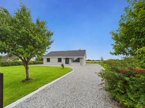 Photo of Lisheenboy, Borrisokane, Co. Tipperary, E45 HE26