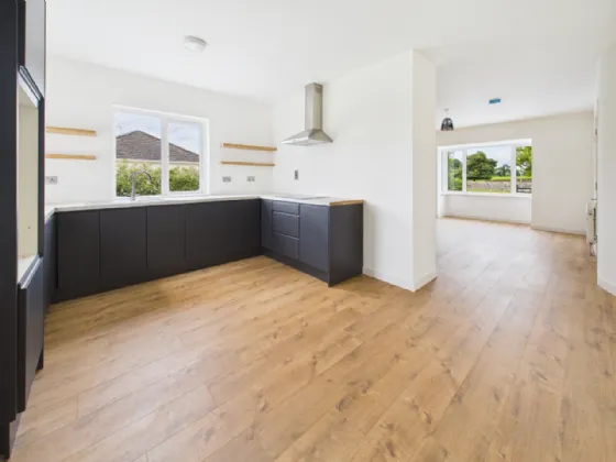 Photo of Lisheenboy, Borrisokane, Co. Tipperary, E45 HE26