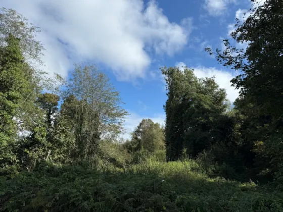 Photo of Killinagh, Carbury, Co Kildare