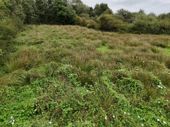 Photo of Shanaghmoyle, Knock, Co Mayo