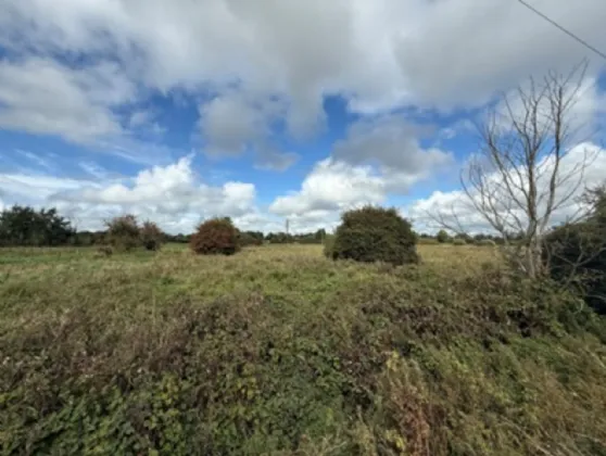 Photo of Lullymore Road, Allenwood South, Co Kildare