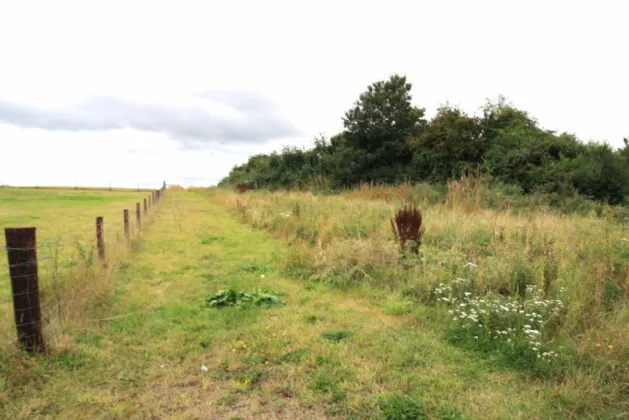 Photo of 14.28 Acres Agri Lands At, Cloghna Lane, Milford, Carlow