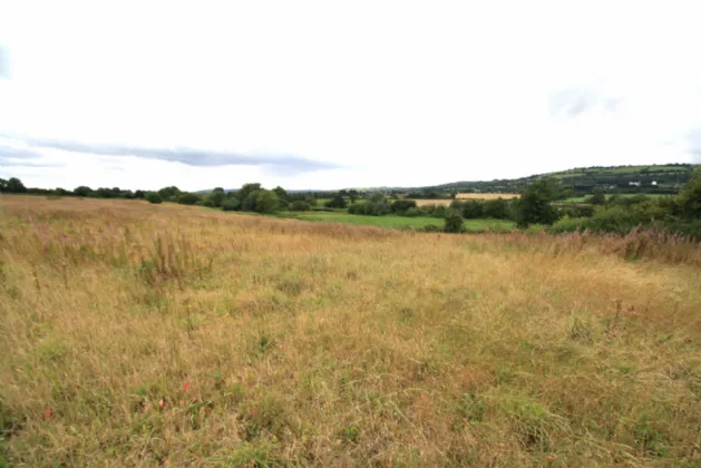Photo of 14.28 Acres Agri Lands At, Cloghna Lane, Milford, Carlow