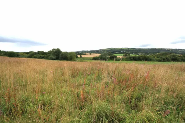 Photo of 14.28 Acres Agri Lands At, Cloghna Lane, Milford, Carlow