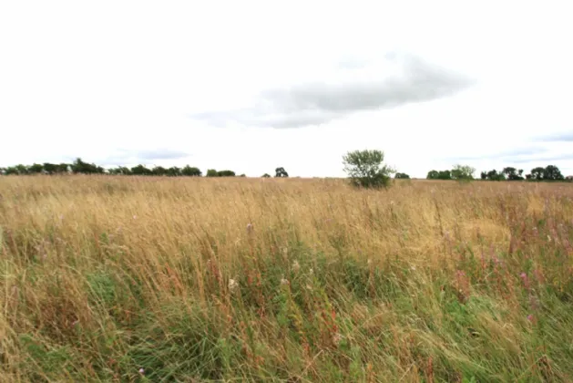 Photo of 14.28 Acres Agri Lands At, Cloghna Lane, Milford, Carlow