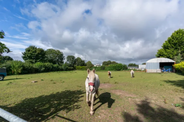 Photo of Jacaranda Cottage, Rathoe, Co. Carlow, R93 EN22