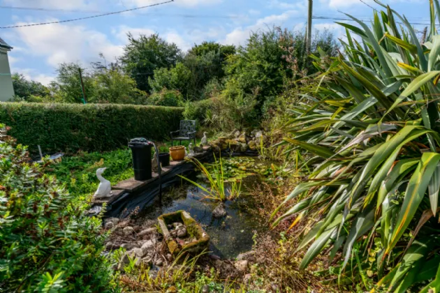 Photo of Jacaranda Cottage, Rathoe, Co. Carlow, R93 EN22