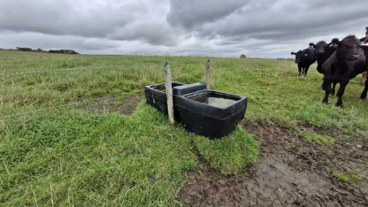 Photo of 27acres of Land, Cortoon, Tuam, Co. Galway